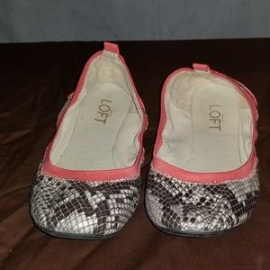 Ann Taylor Ballet Shoes